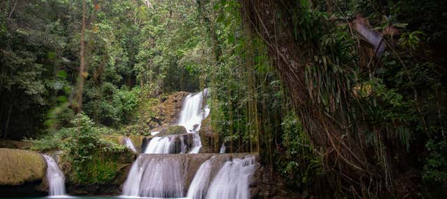 Excursión a Río Negro y Cataratas YS