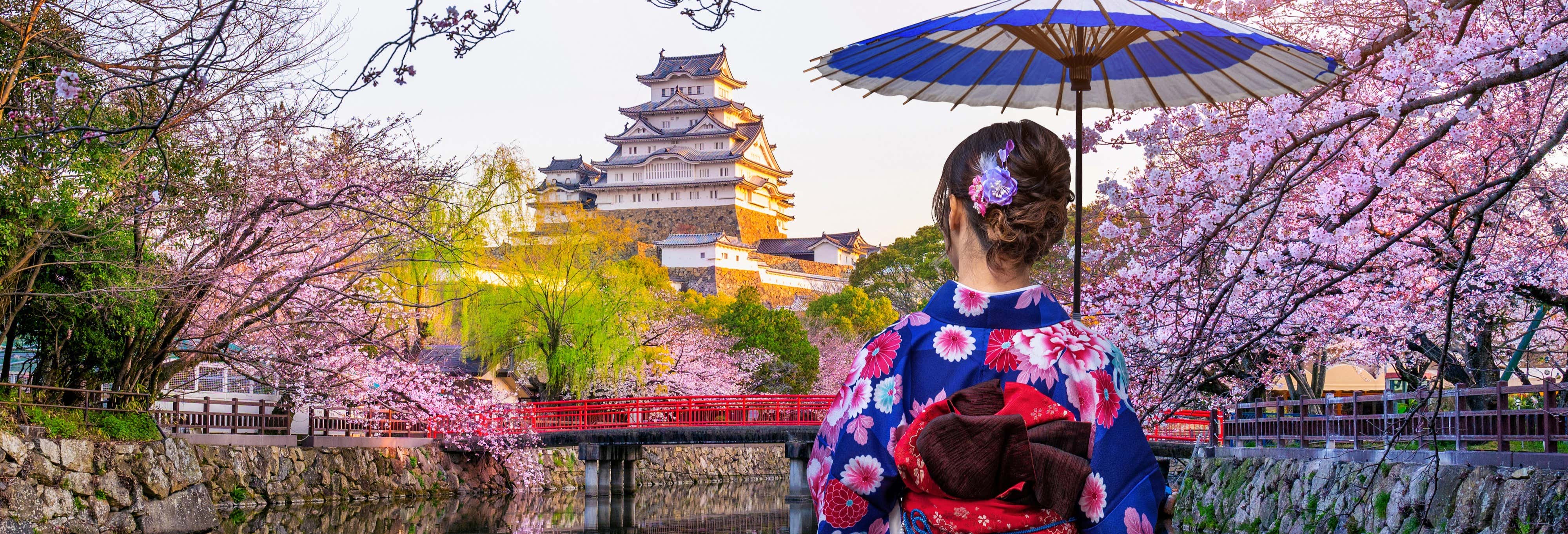 Visita guiada por el Castillo de Himeji