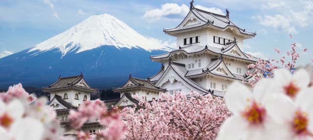 Excursión a Himeji y Kobe