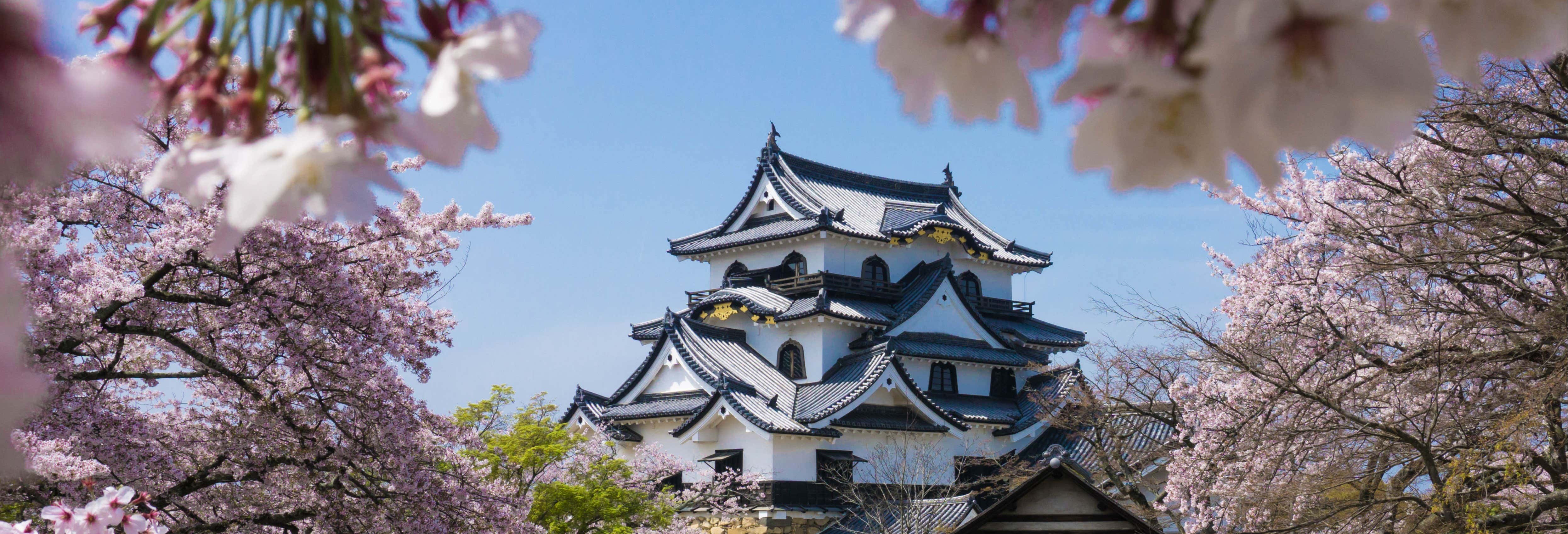 Excursión a Osaka desde Kyoto