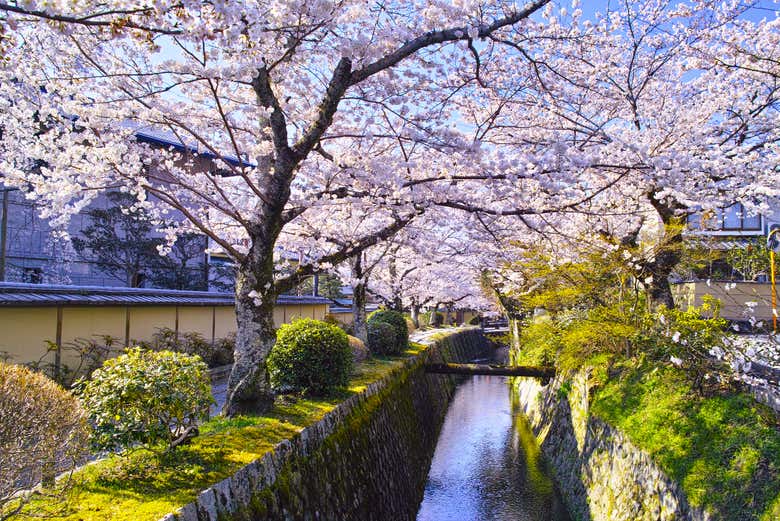 Balade A Velo A Kyoto Reservez En Ligne Sur Civitatis Com