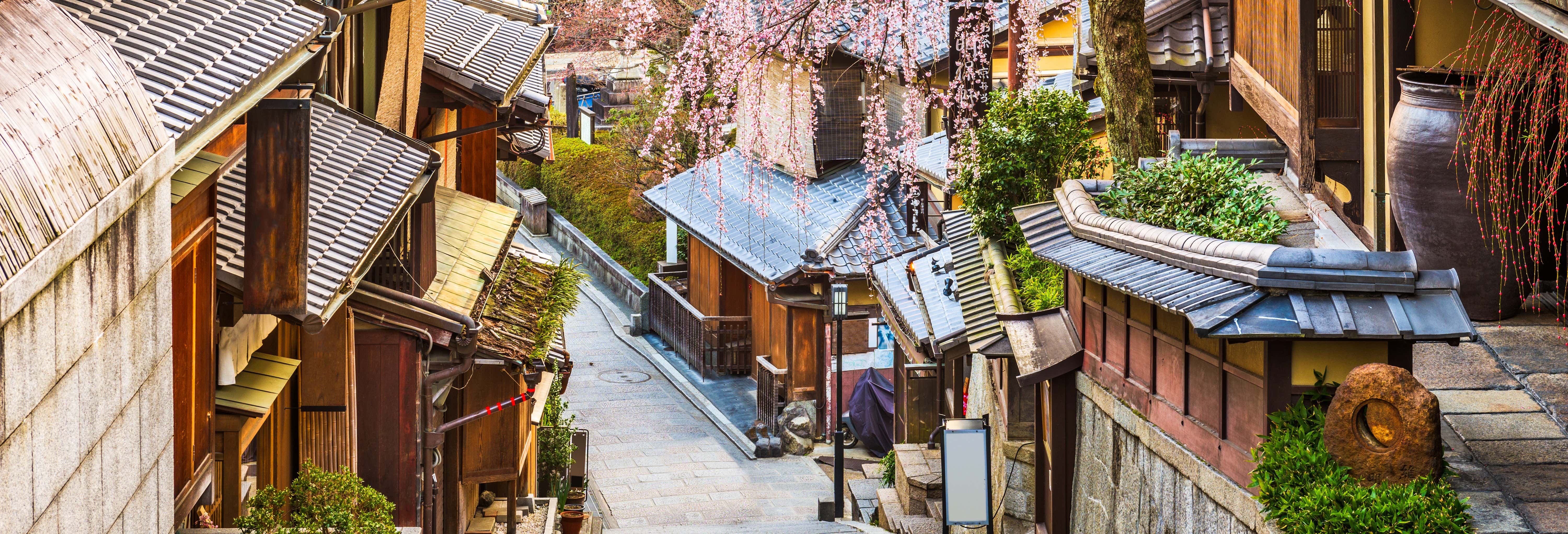 Tour privado por Kioto con guía en español desde Kyoto