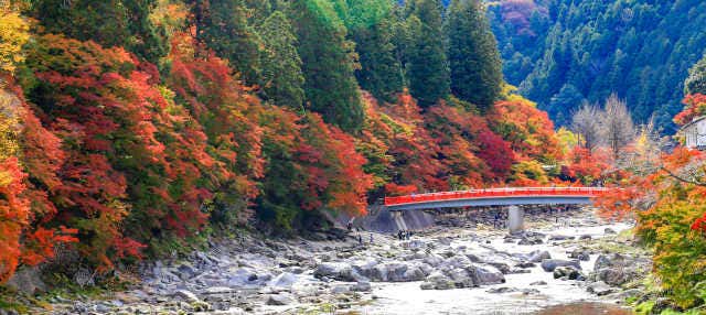 Korankei Valley Eiho Temple And Toki Premium Outlet Tour From Nagoya