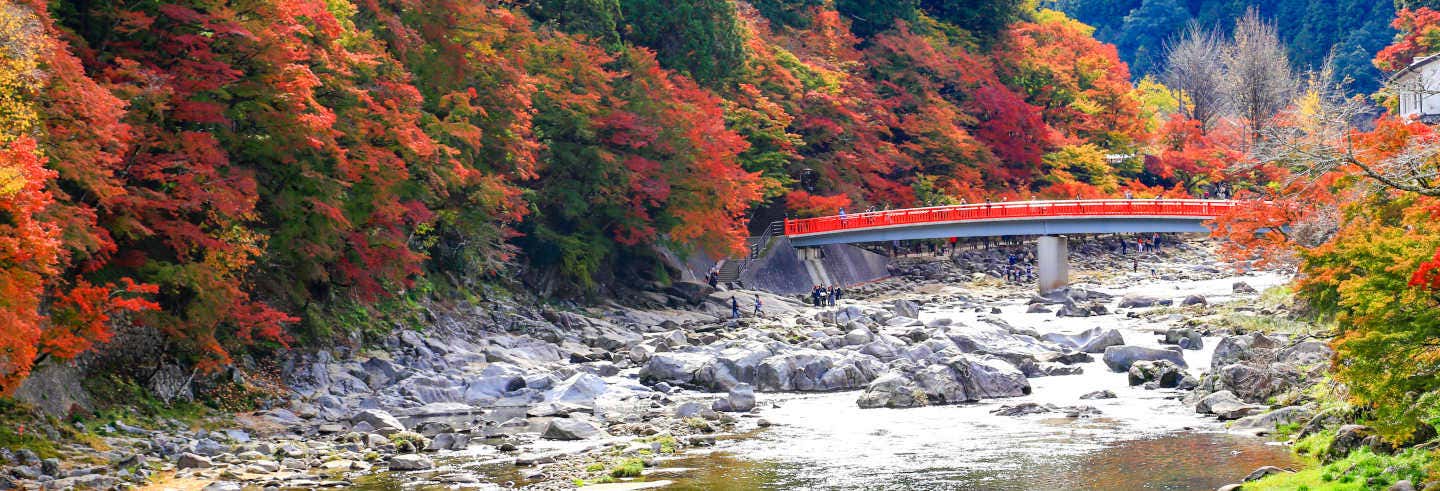 Korankei Valley Eiho Temple And Toki Premium Outlet Tour From Nagoya