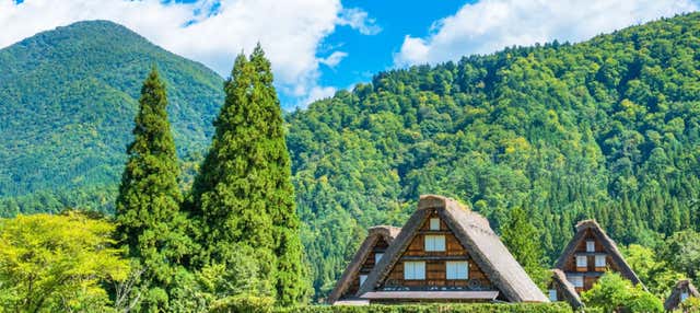 Excursión a Takayama y Shirakawago