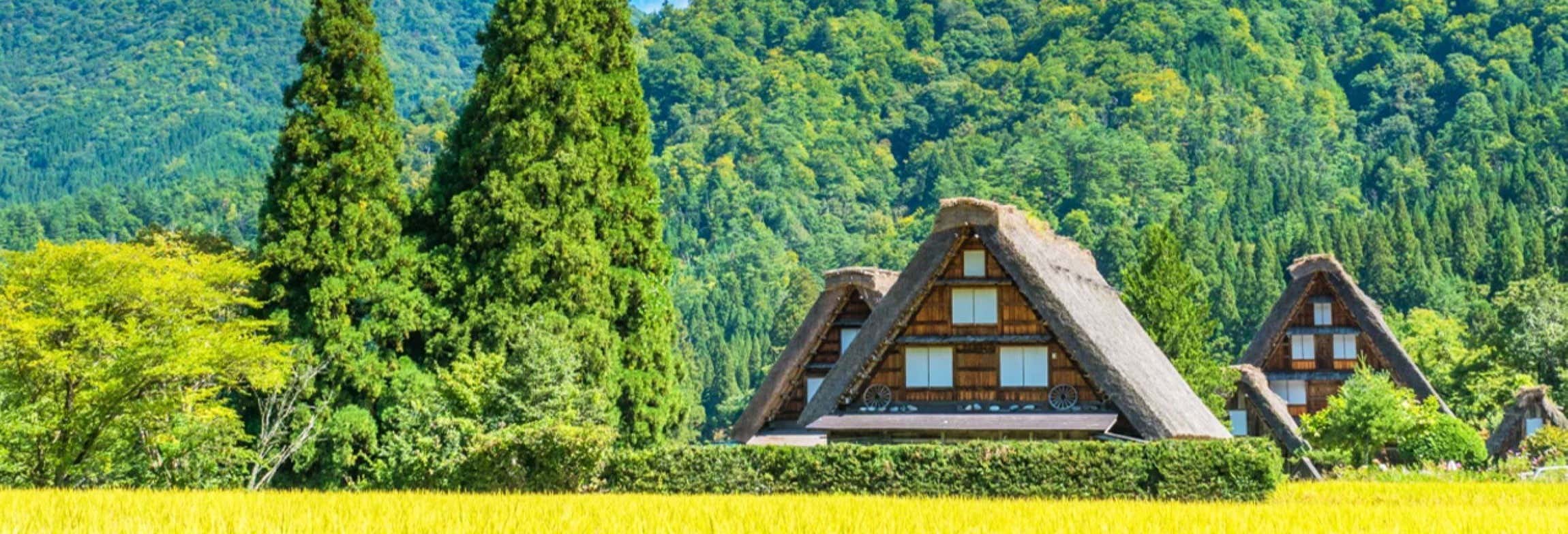 Excursión a Takayama y Shirakawago