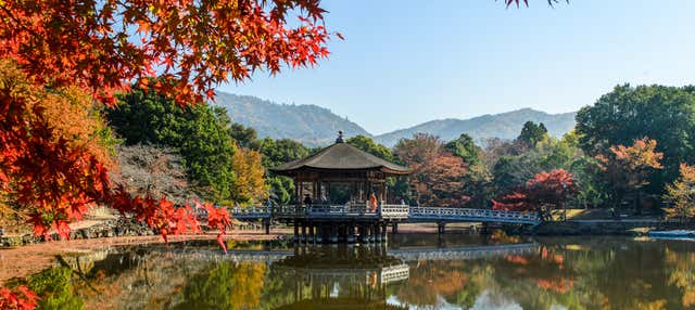 Tour privado por Nara con guía en español