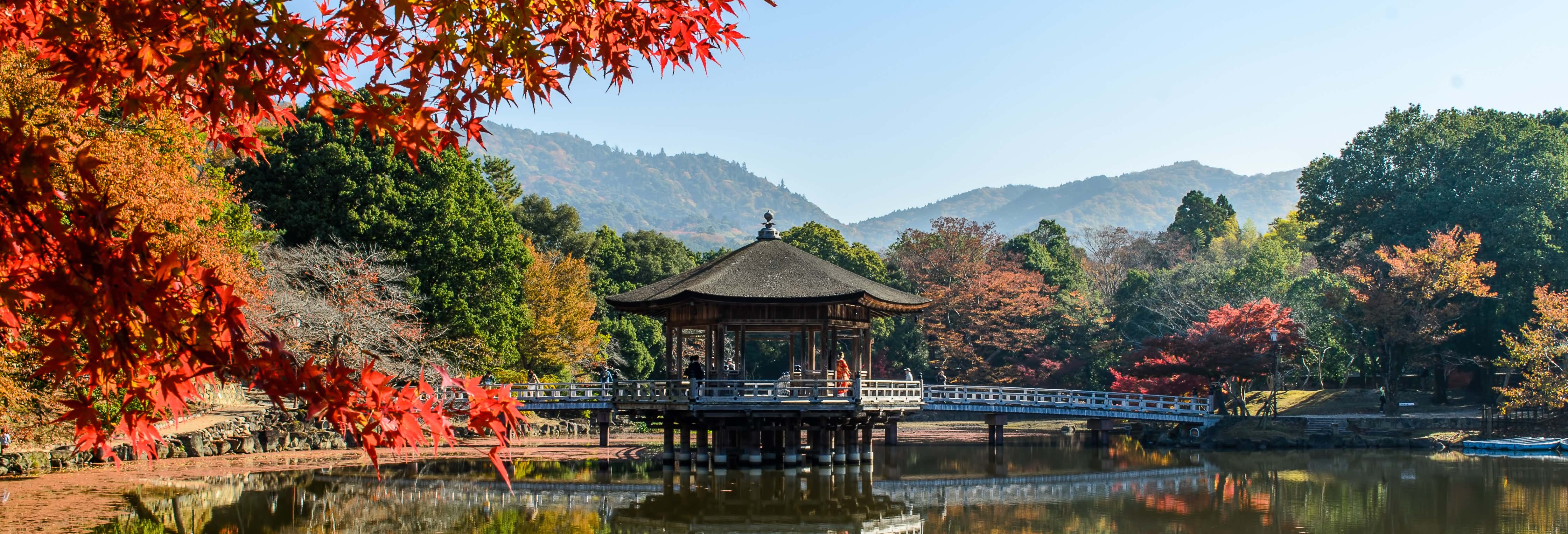 Tour privado por Nara con guía en español