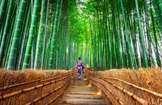 Escursione a Nara e Arashiyama