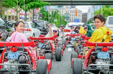 Tour de kart por Osaka