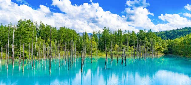 Excursión a la granja Tomita y Estanque Azul