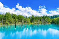 Excursión a la granja Tomita y Estanque Azul