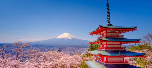 Cerezos en flor en Yamanashi