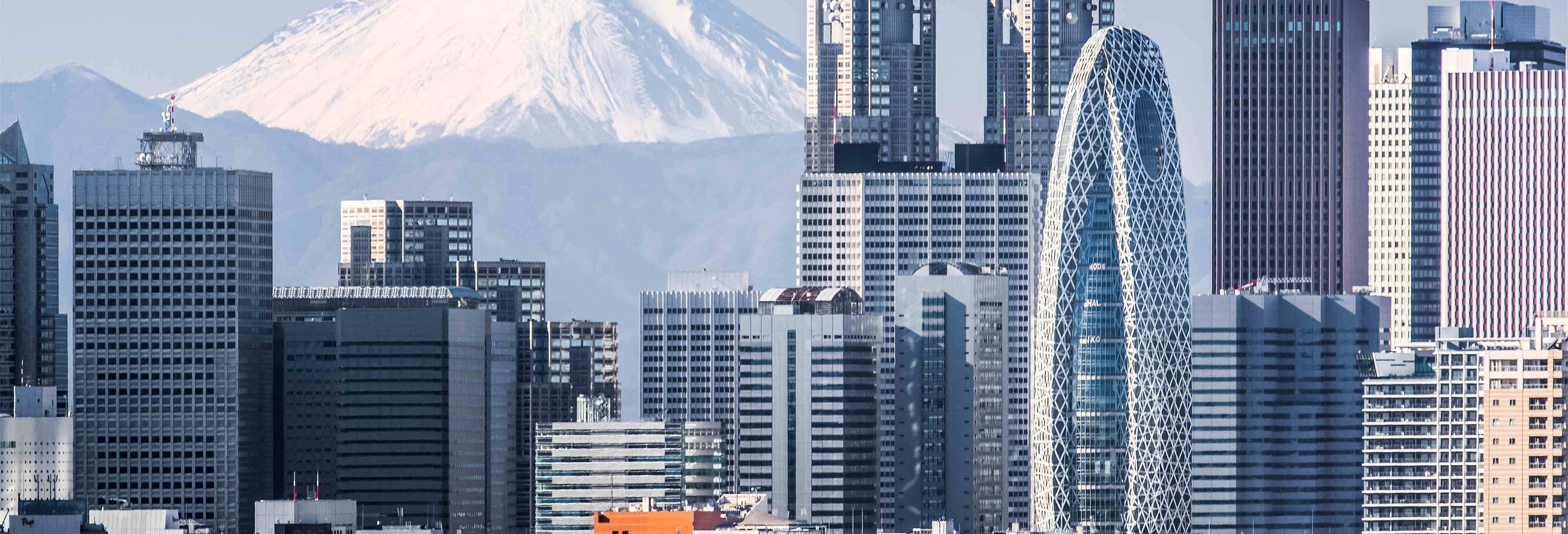 Circuito de 10 días por Japón