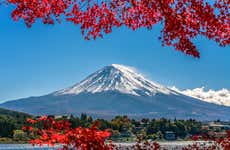 Fujiyama Snow Resort Yeti & Izu Fruit Park Trip