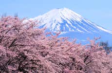 Excursión al monte Fuji y el lago Ashi