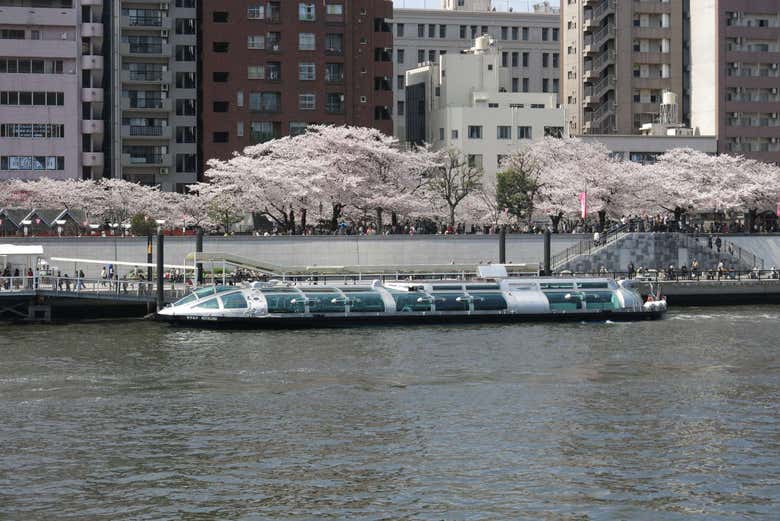 Passeio de barco pelo Rio Sumida