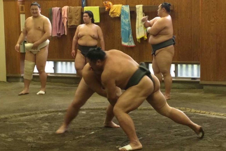 Sumo wrestlers 