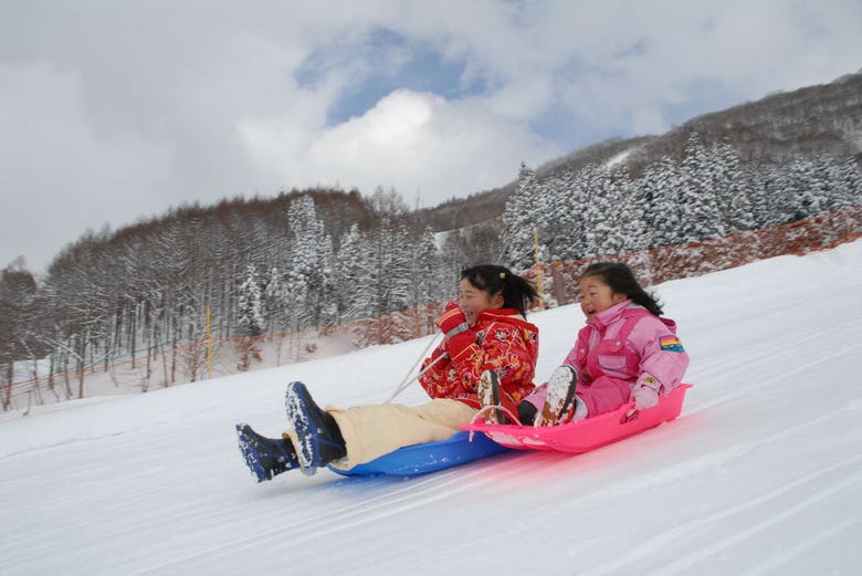 Fujiyama Snow Resort Yeti