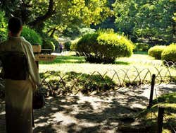 Santuario Meiji, jardim