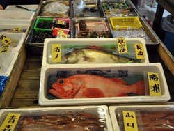 Tokyo Fish Market