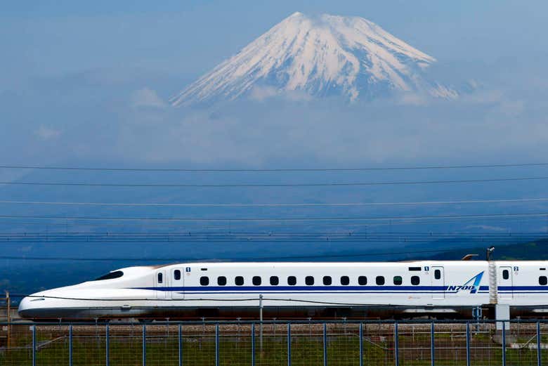 Mount Fuji & Hakone Day Trip from Tokyo introducingtokyo