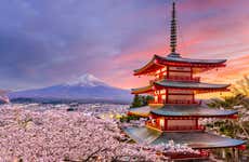 Mount Fuji and Lake Kawaguchi Day Trip
