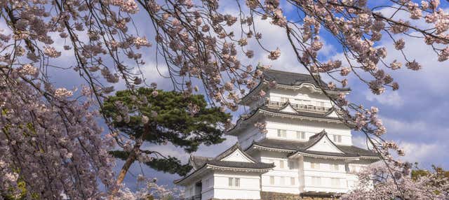 Monte Fuji desde Mishima Sky Walk + Odawara y lago Ashi