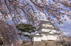Monte Fuji desde Mishima Sky Walk + Odawara y lago Ashi