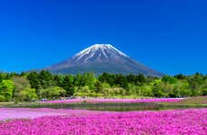 Excursión al Monte Fuji + Recogida de fruta