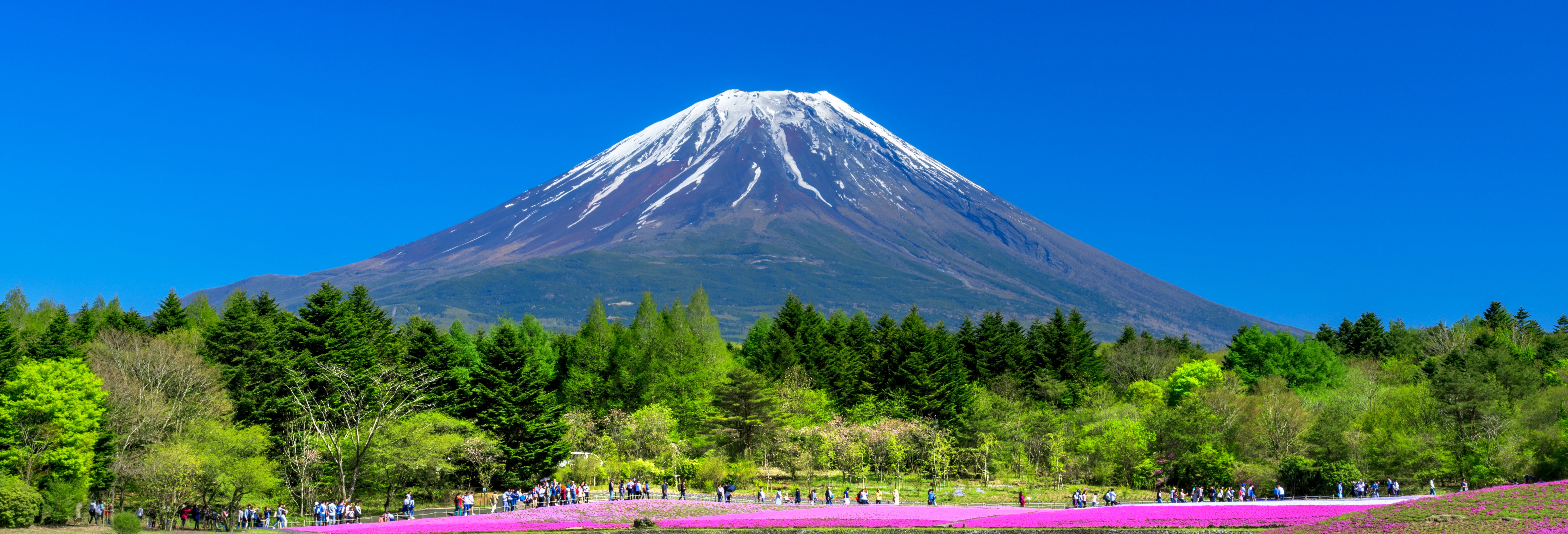 Excursion au mont Fuji et récolte de fruits