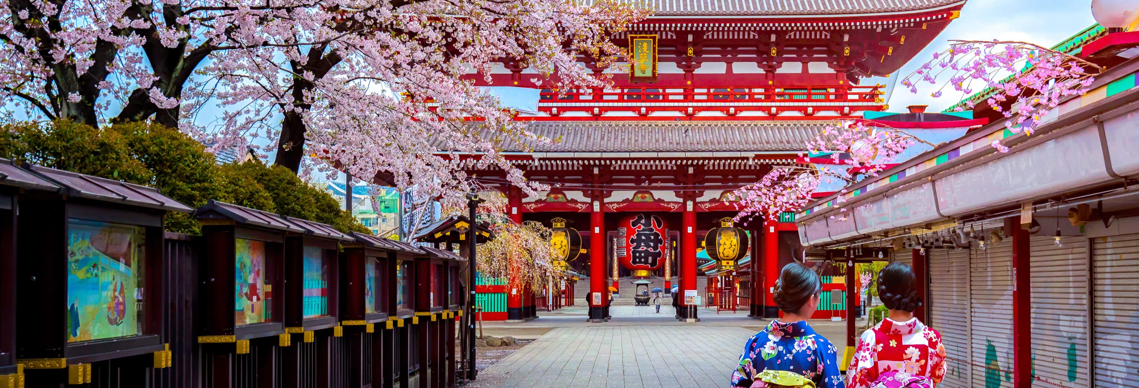 Visite privée dans Tokyo avec un guide français