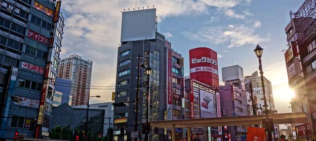 Tour privado por el Tokio más friki