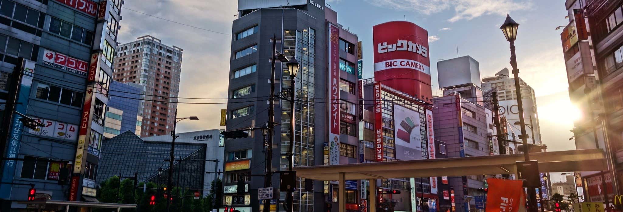 Tour por el Tokio más friki