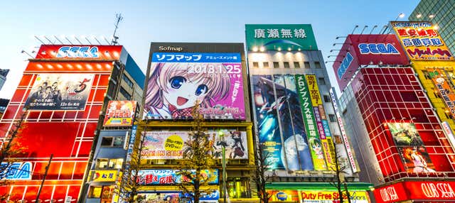 Visita guiada por el barrio de Akihabara