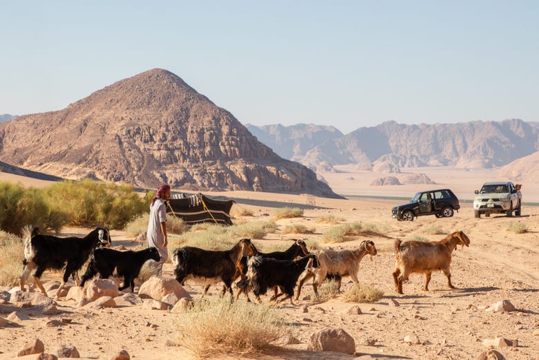 Un pastor con sus cabras en Wadi Rum