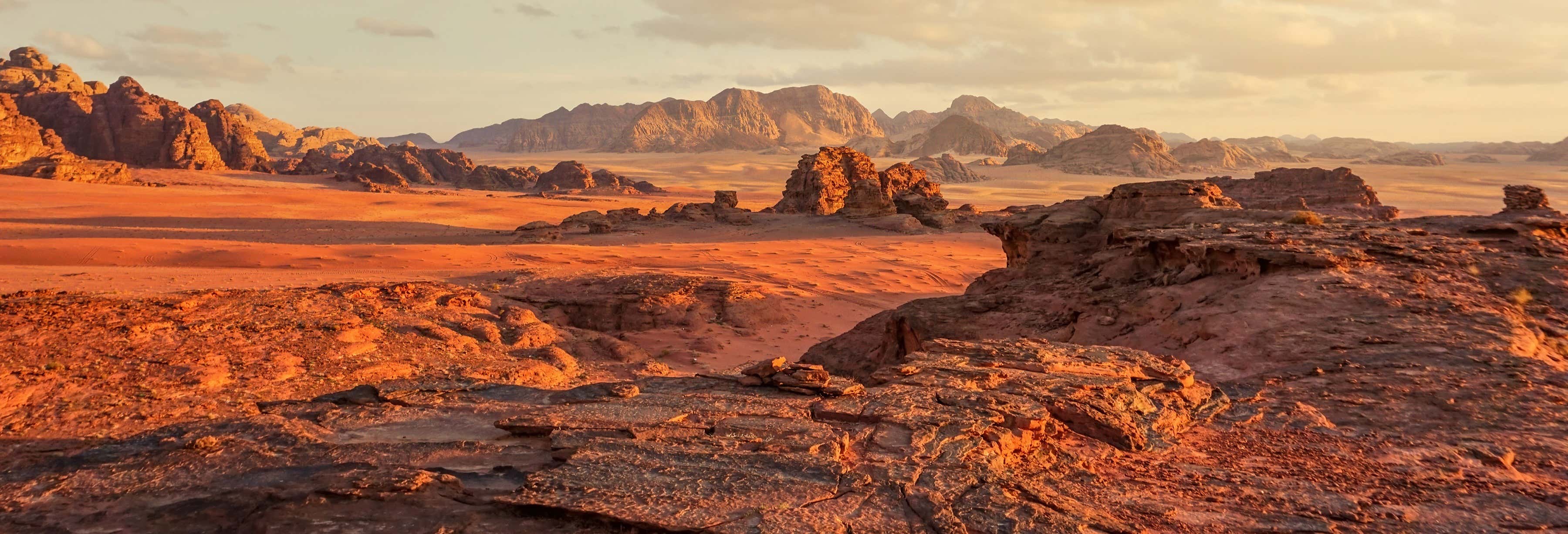 Excursión a Wadi Rum