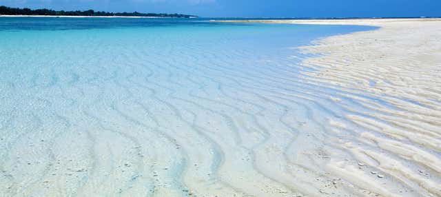 Diani Beach Tour