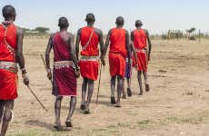 Casamento massai. Case seguindo o ritual tradicional!