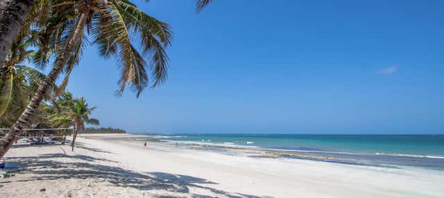 Excursion à la plage de Diani