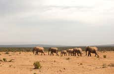 Safári pelo Parque Nacional de Tsavo East