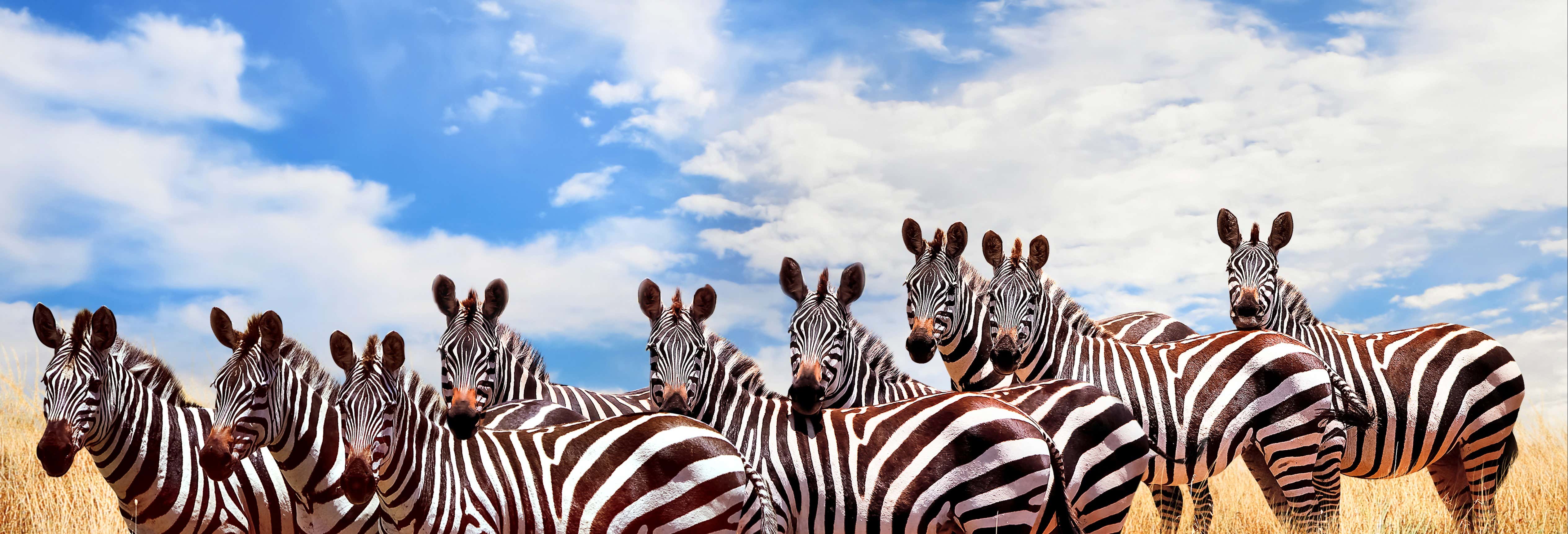 Safari di 6 giorni a Masai Mara, Amboseli e lago Naivasha