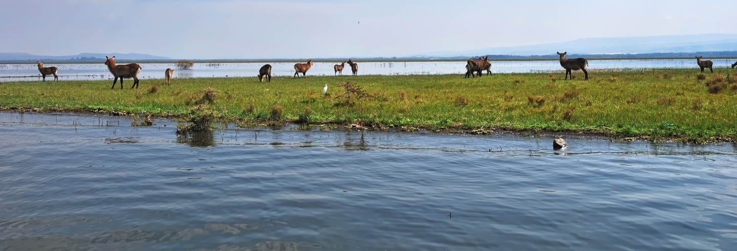 Lake Naivasha Trip From Nairobi Book Online At Civitatis Com