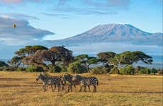 Safári de 2 dias pelo Parque Nacional de Amboseli