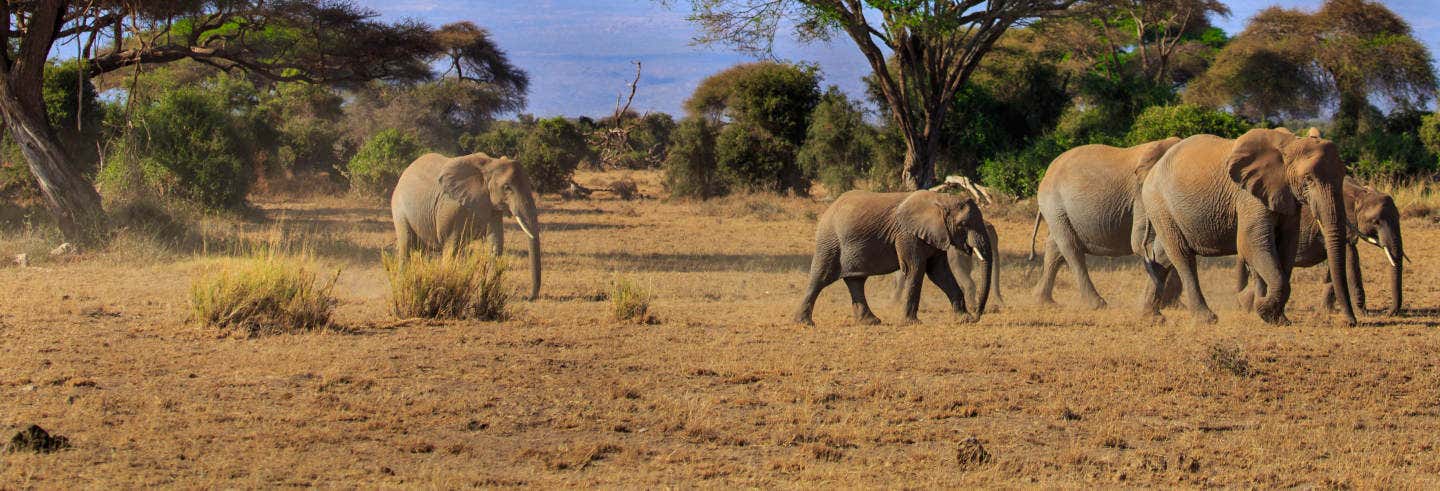 Safari por el Parque Nacional de Amboseli