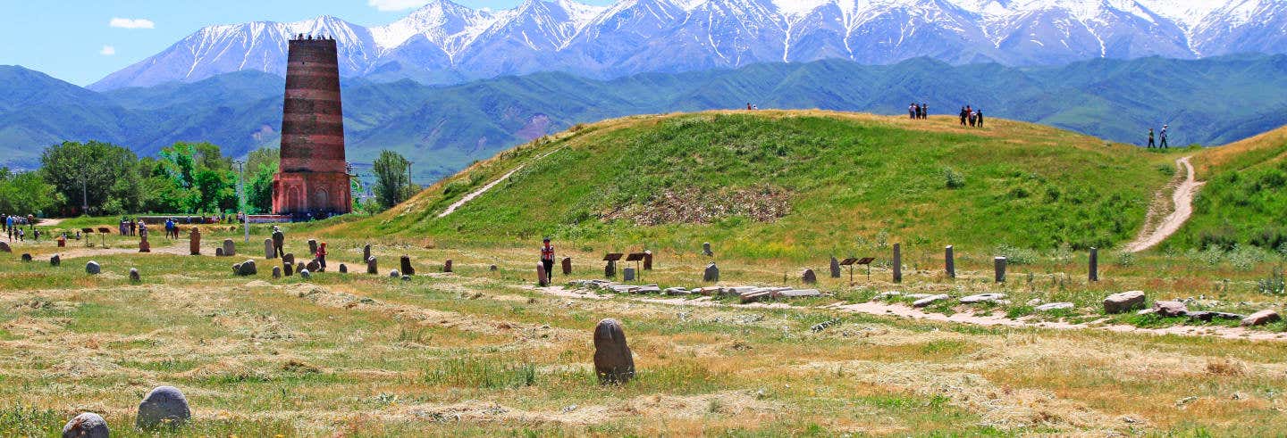 Escursione privata alla Torre di Burana