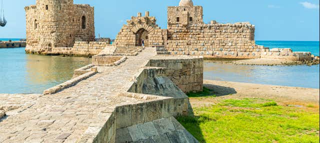 Excursión privada desde Beirut