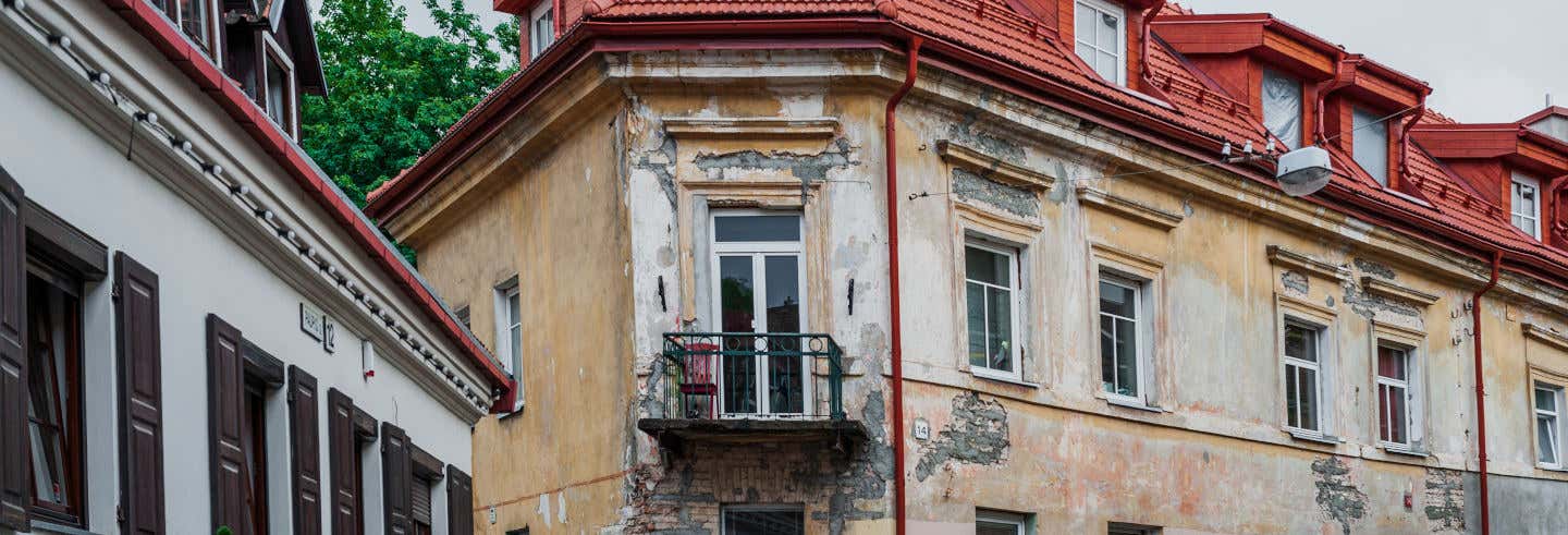 Visita guidata di Užupis