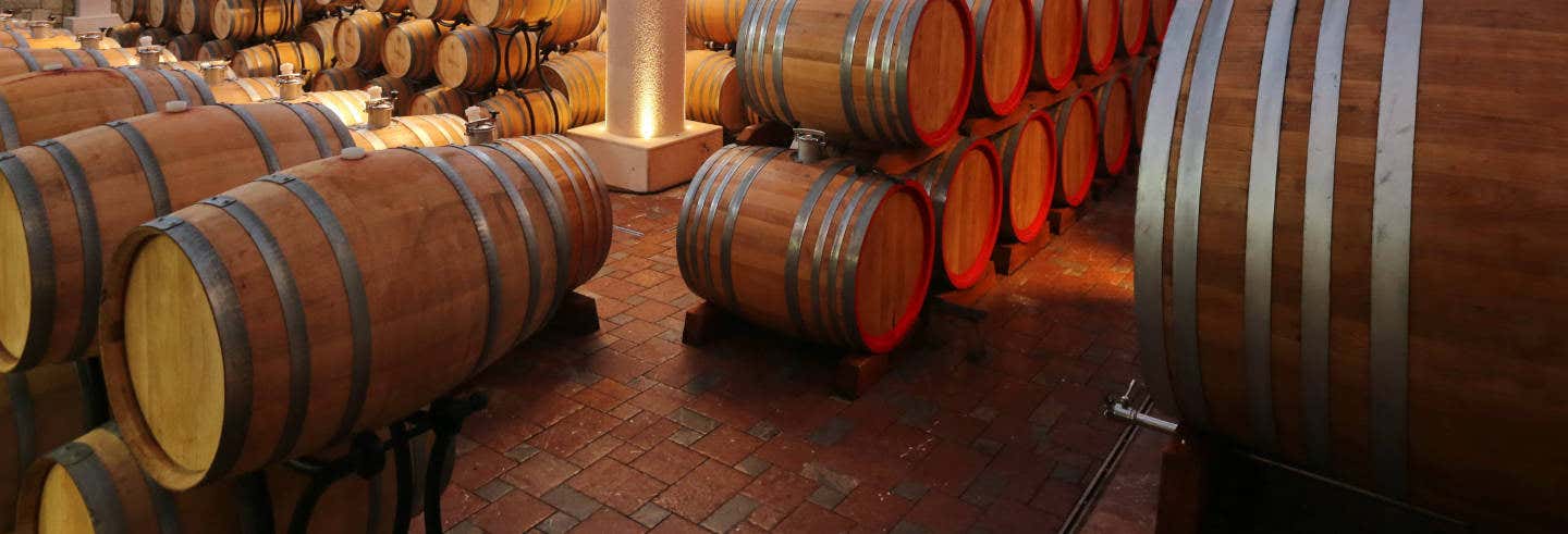 Visita privada a la bodega Tikves