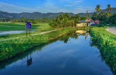 Tour en bicicleta por Penang